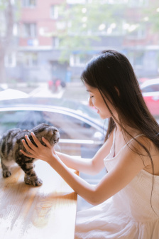 野花在线观看